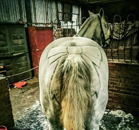 The price of a horse haircuts range from $25 for simple designs to $75 for the most complex.