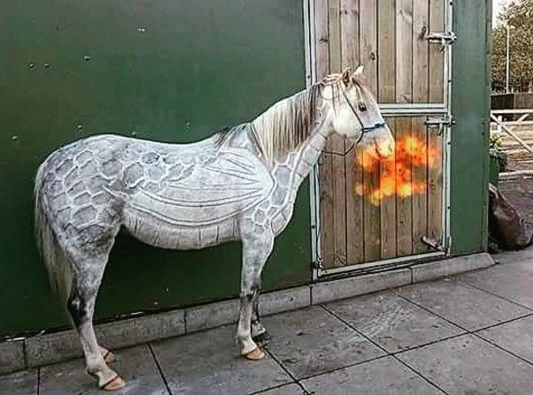 "Most of my designs have taken me around three hours," Scott explains. "The odd one has taken longer, but this makes no difference to the horse. They are happily eating and drinking in their stable anyway, so I'm not doing anything that is affecting their normal routine."