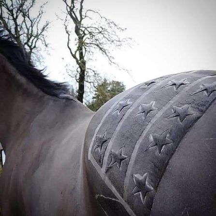 She says some take a disliking to the vibrating noise of the clippers, adding she would never "unnecessarily stress out" a horse. "With these horses we would not attempt to do any sort of fancy design because those clips can take longer."