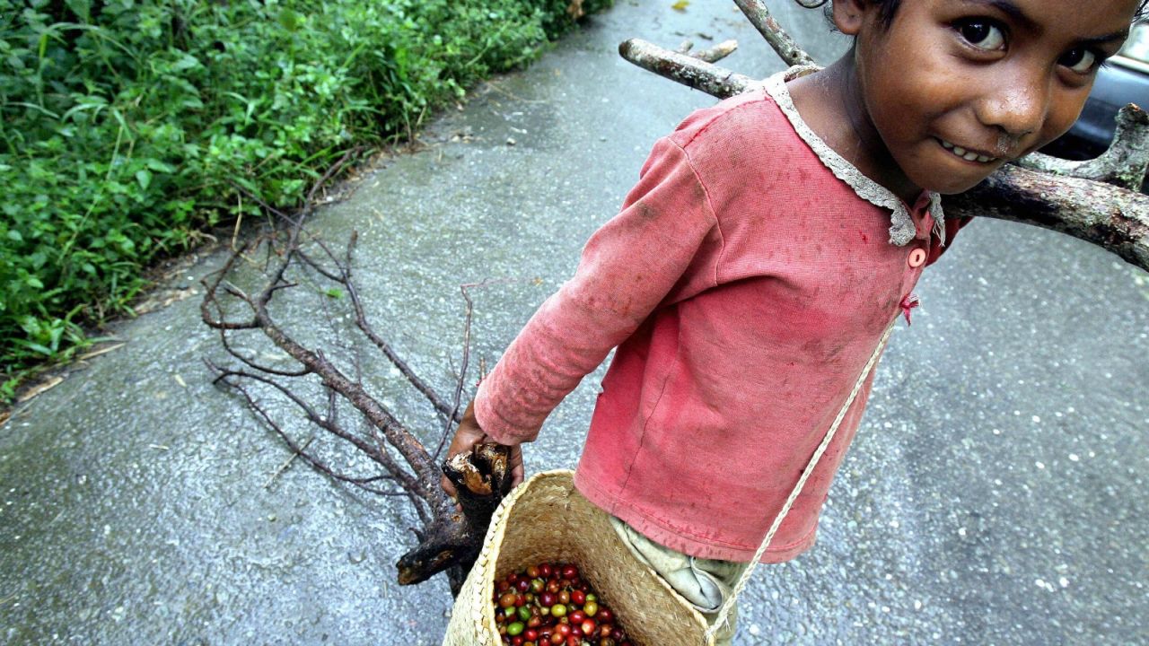 East Timor provides one of the cheapest cups of coffee in the world.