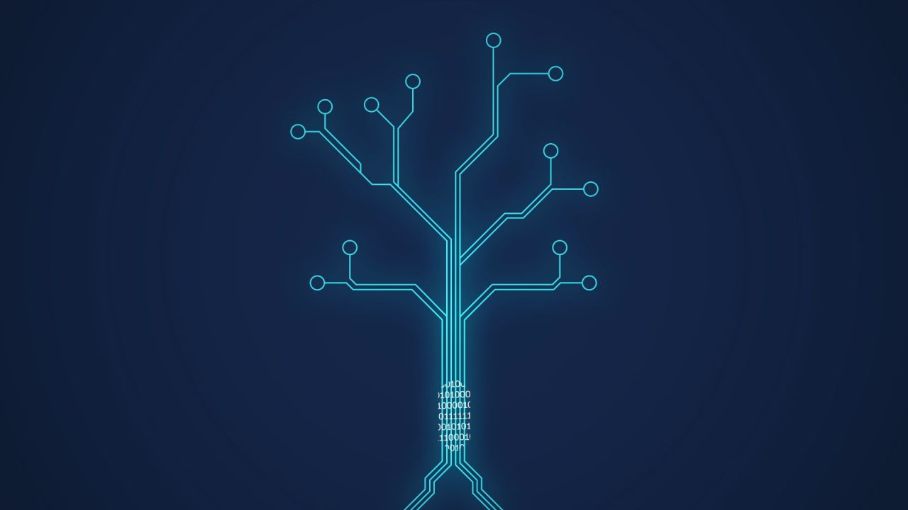 data tree