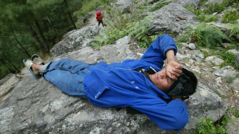 Scientific tests suggest Sherpas are genetically adapted to high altitudes.