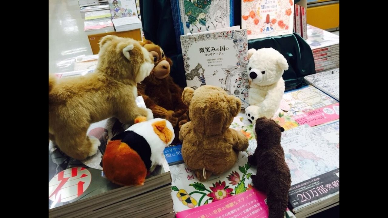 After a night at the library, stuffed animals help kids read | CNN