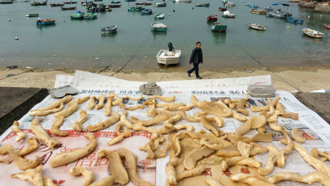 In the absence of shrimp on toast, why not try the dried fish maw?