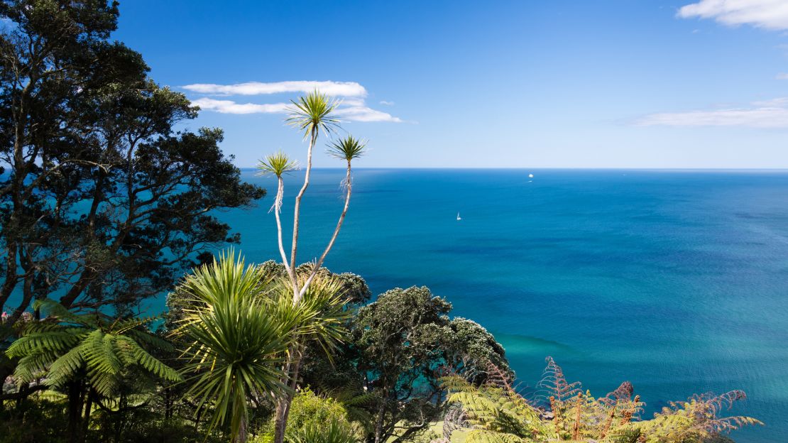 Ocean Bay: Surf City, Kiwi-style.
