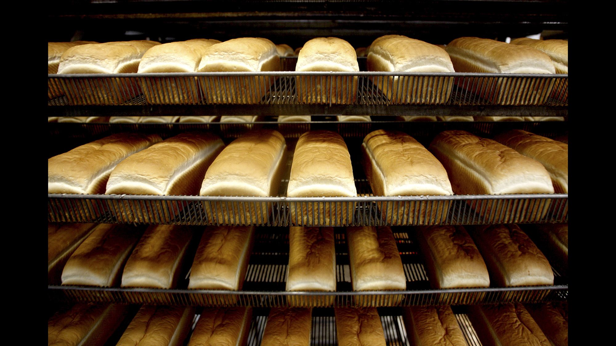 Half & Half Medium (800g) - Half and Half Bread