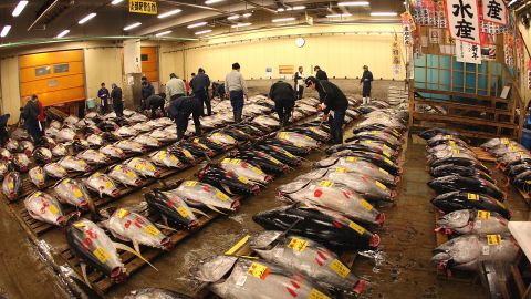 Great shedloads of tuna at Tsukji fish market.