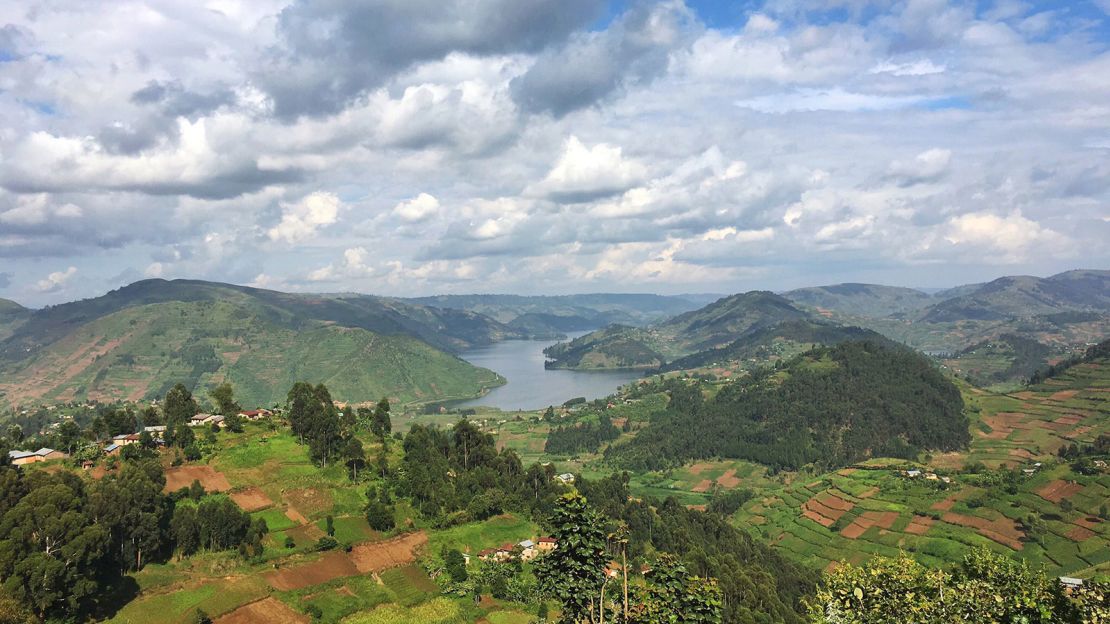 Will you take your chance of a higher chance of rain in Bwindi but for a more memorable time?
