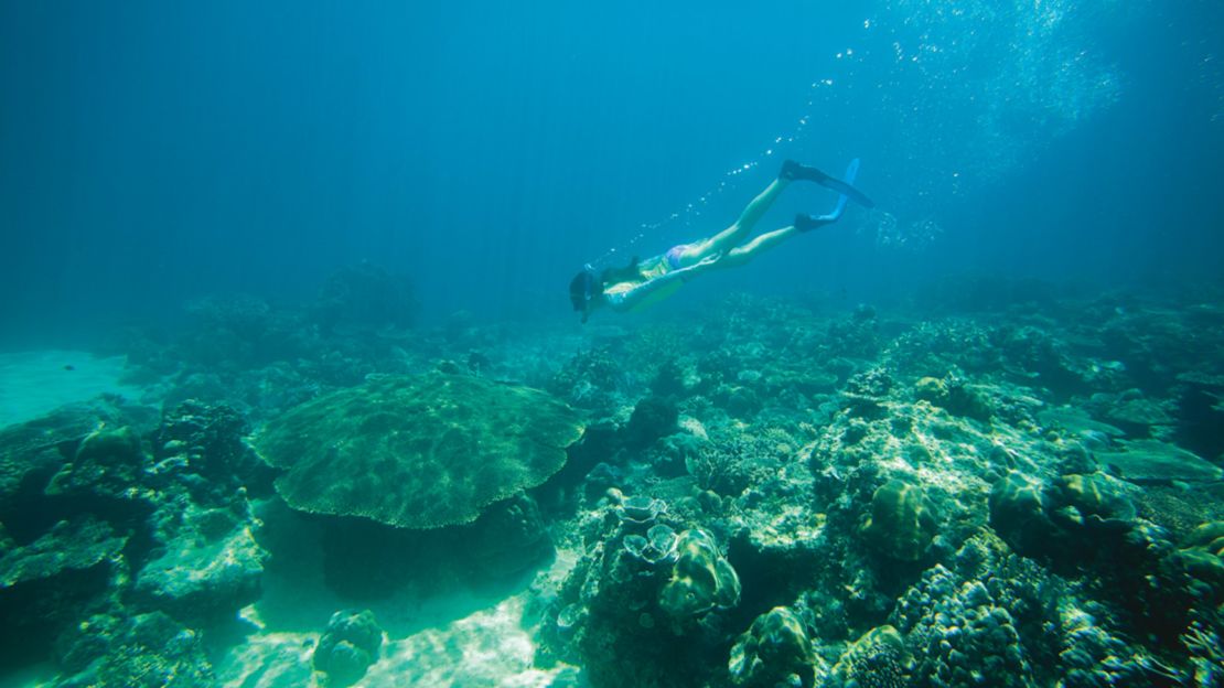 Snorkeling in the Philippines: Rain doesn't matter when you're underwater.
