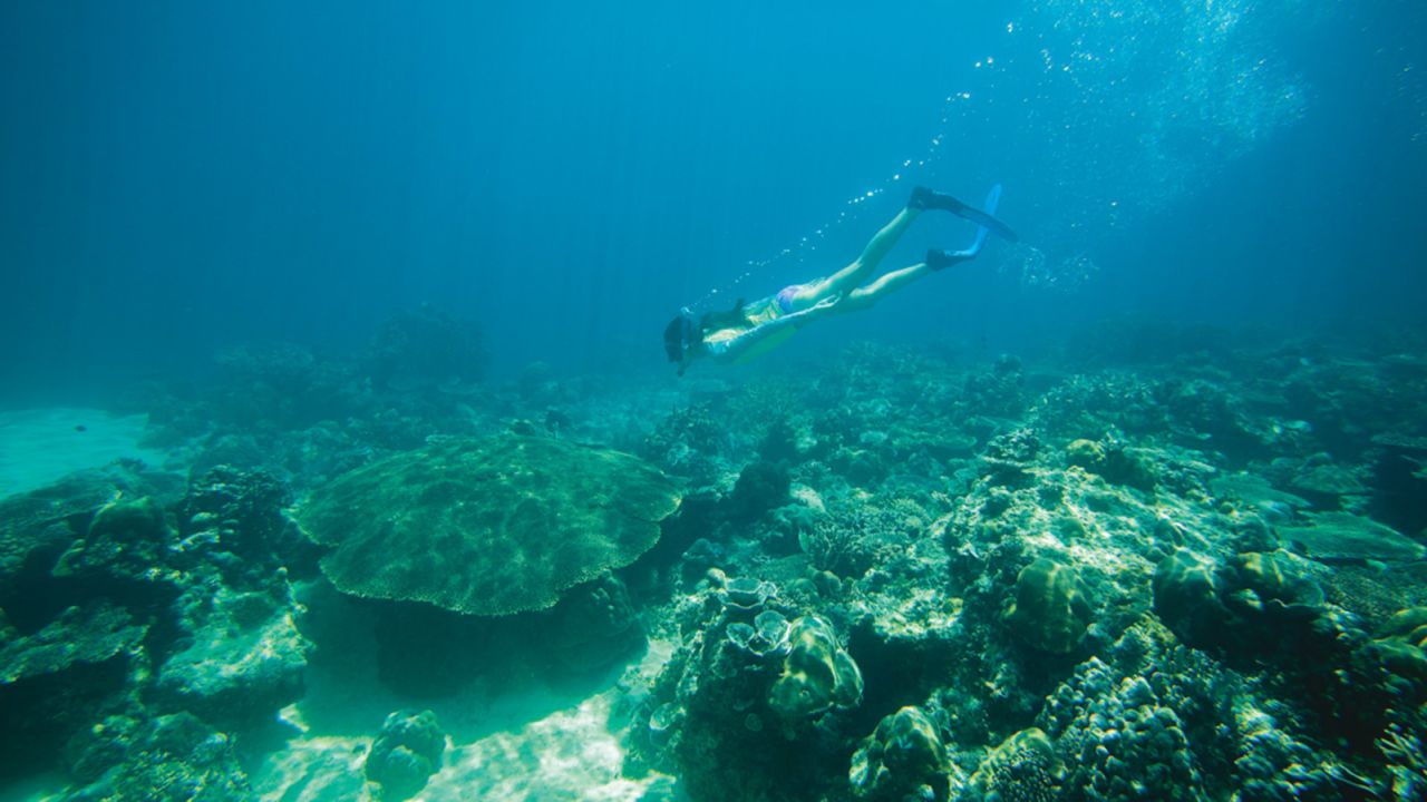 Snorkeling in the Philippines: Rain doesn't matter when you're underwater. 