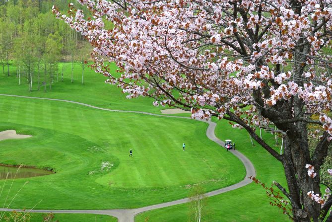 <strong>Niseko, Hokkaido: </strong>Fancy a round of golf under the cherry blossoms? One of the two courses at Niseko Village was designed by Arnold Palmer and has rows of sakura trees along fairways and at the clubhouse entrance. 
