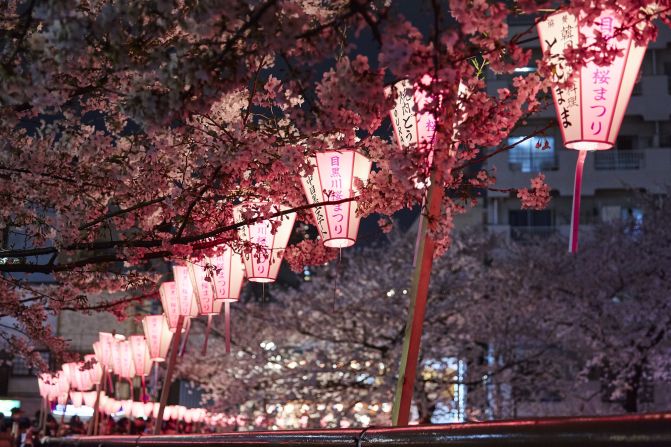<strong>Meguro River, Tokyo:</strong> The cherry trees that hang over the Meguro River in Tokyo's Nakameguro district add to the area's beauty. During cherry blossom season vendors set up stalls selling food, beer and pink Champagne.