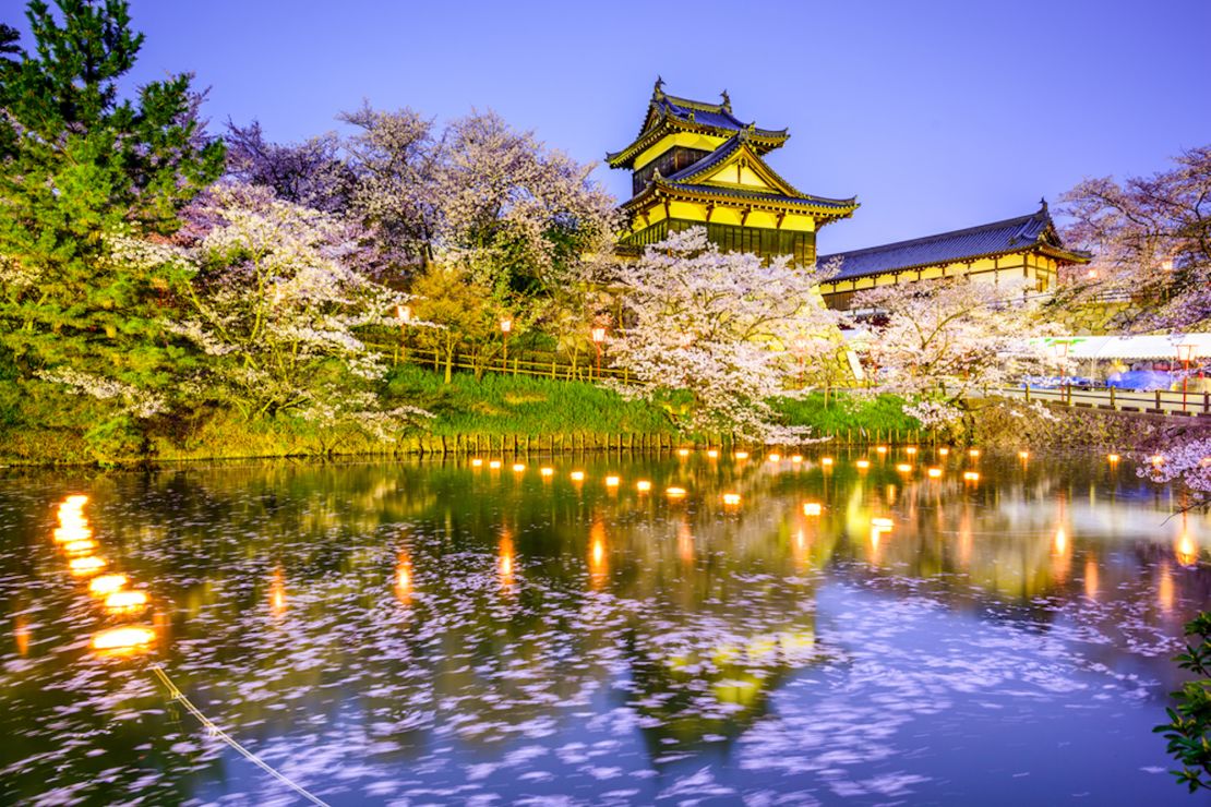 Nara Park features more than 1,500 cherry trees.