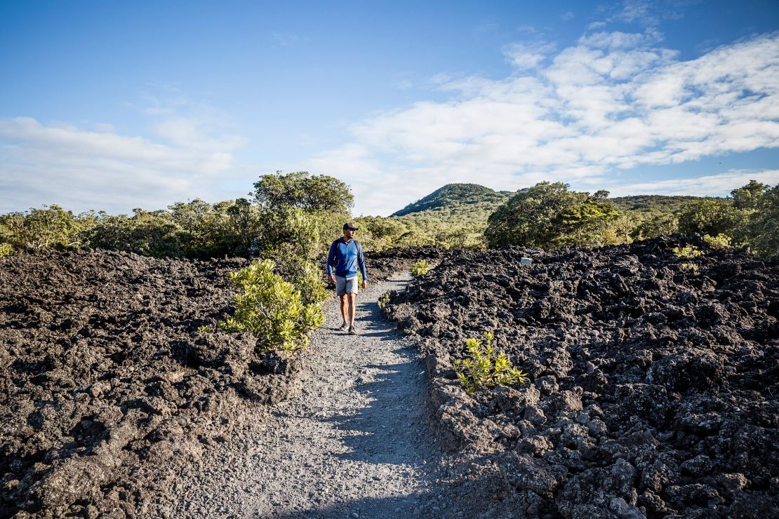 Visitors to Rangitoto can walk through fields of solidified lava.