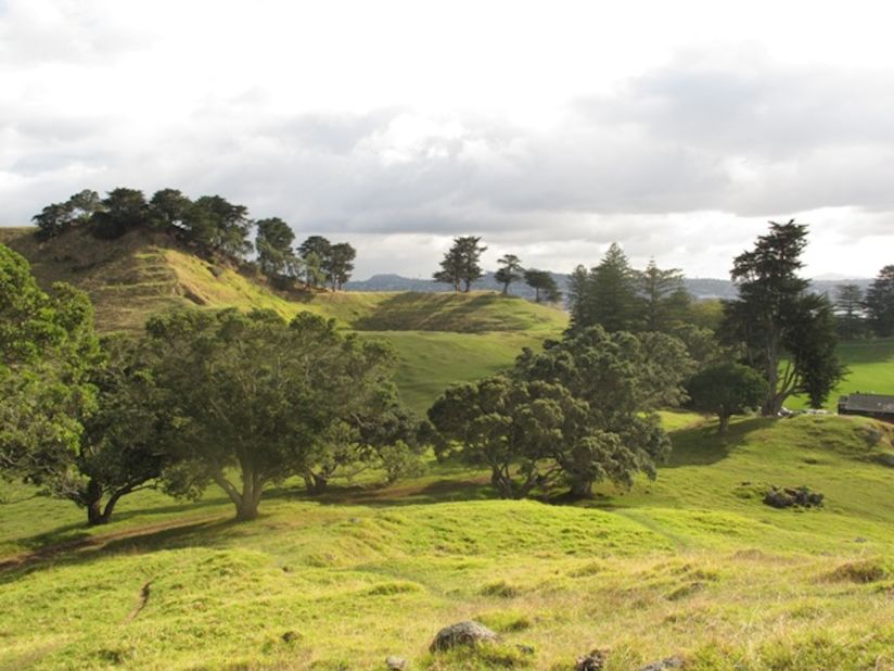 <strong>Mangere Mountain: </strong><a href="http://www.doc.govt.nz/get-involved/conservation-education/resources/local-field-trips/auckland/mangere-mountain/education-resource/" target="_blank" target="_blank">Mangere Mountain is some 30,000 years old.</a> Standing at 106 meters, it has three craters and the Auckland volcanic field's only "tholoid" -- a lava plug that forms a dome in the middle of one of its craters.