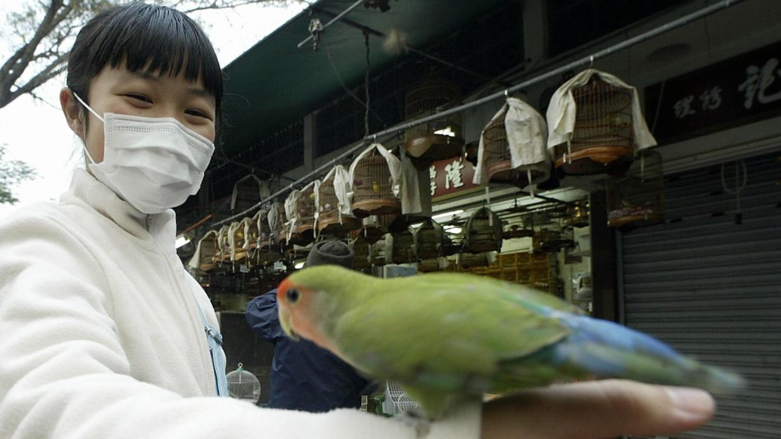 hong kong world's greatest city - bird market