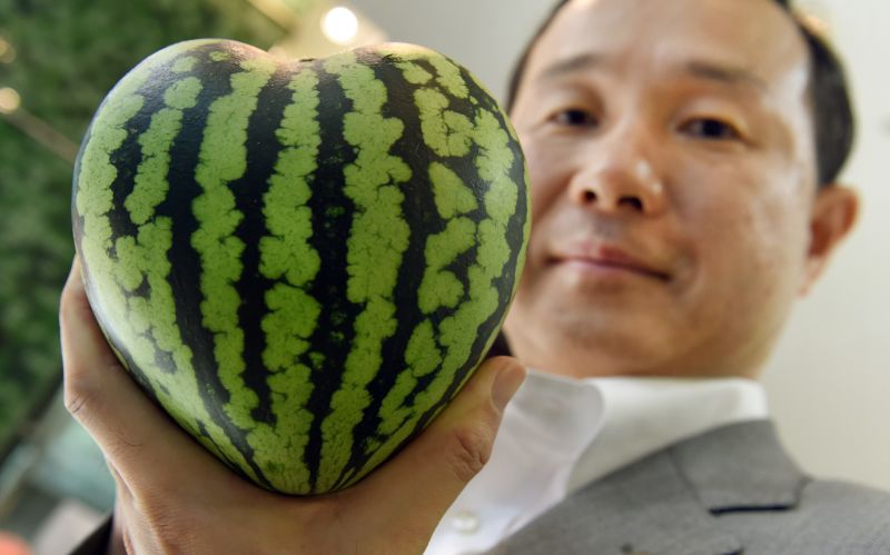 $27,000 melons? Japan's luxury fruit obsession | CNN