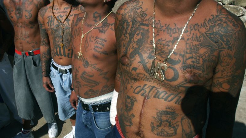 What Is Ms 13 The Transnational Street Gang On The Fbis Radar Cnn 1368