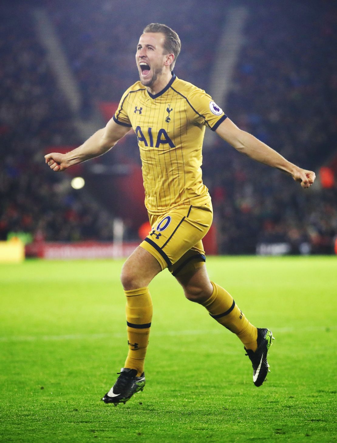 Harry Kane has enjoyed an outstanding season with Tottenham.
