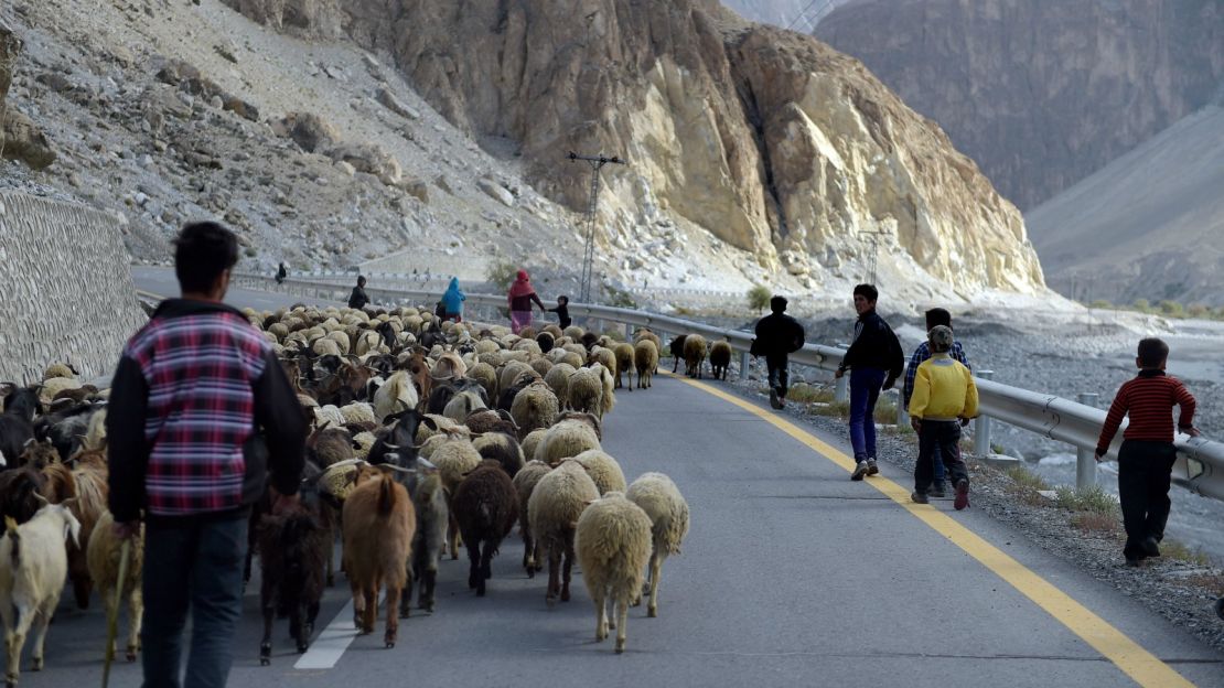 A shepherd moves his flock on the Karakoram Highway.