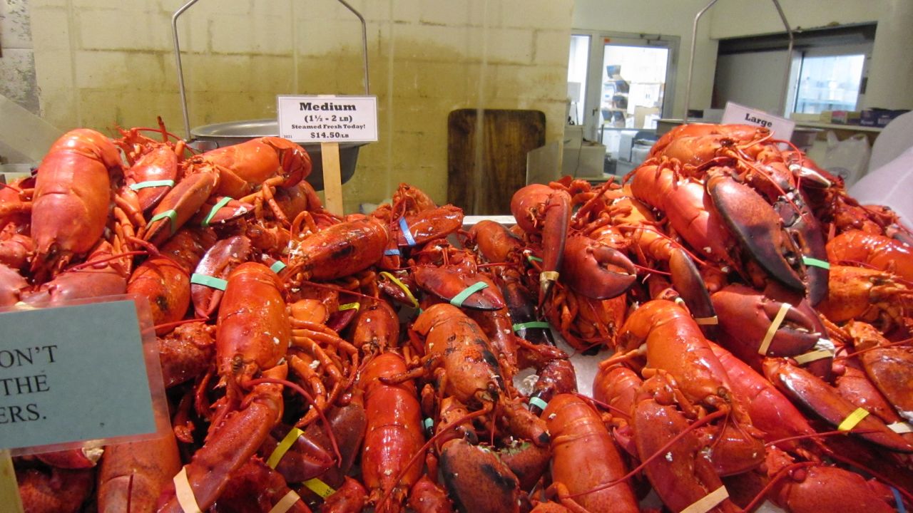 If you were on a million menus you'd have big claws too.