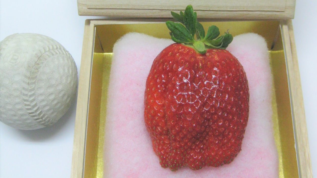 These tennis-ball sized Bijin-hime strawberries usually sell for around 500,000 yen ($4,395) each