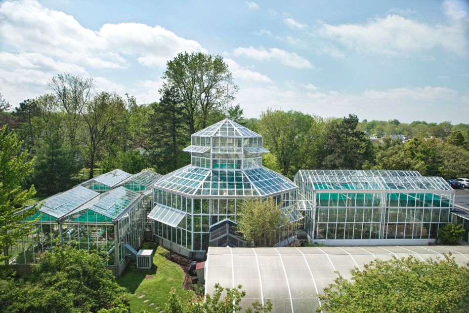 The greenhouses at IFF's Laboratoire Monique Remy is full of plants for research into future naturals.