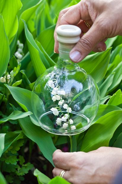 'Mute' flowers, such as lily of the valley and lilac, cannot produce a natural extract and must be recreated in the lab. Headspace allows this to happen. 