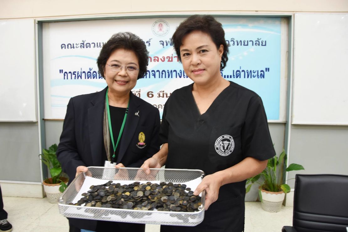  Veterinarians with Chulalongkorn University show the coins recovered from the green sea turtle.  