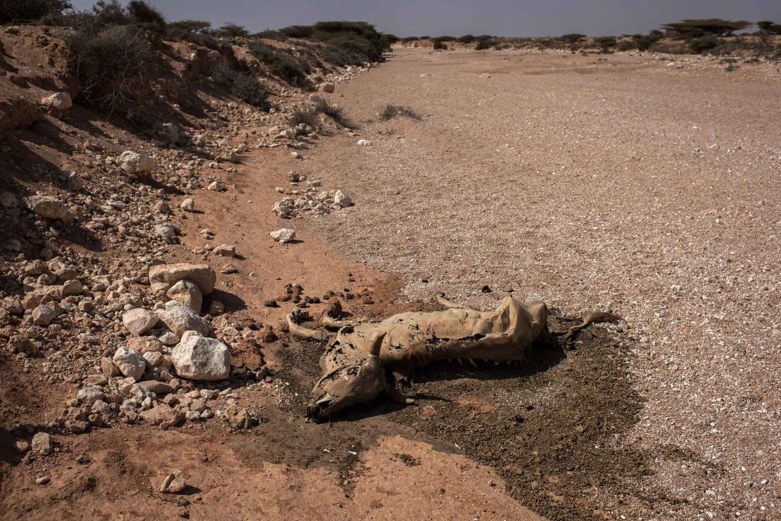 Drought is also a huge problem in Somalia.