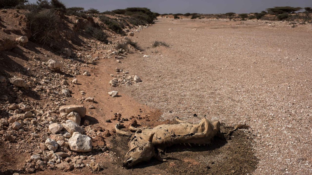 Drought is also a huge problem in Somalia.
