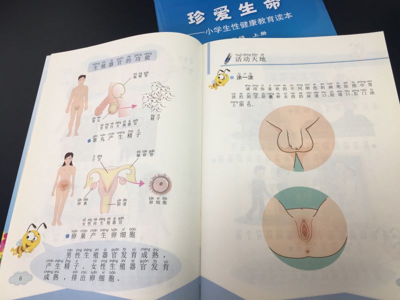Chinese School Porn