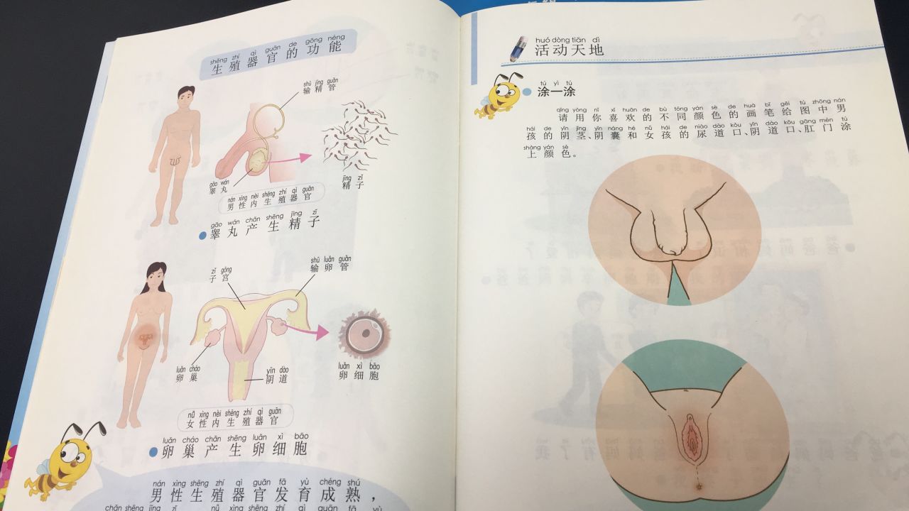 A page in the textbook which deals with male and female genitalia.