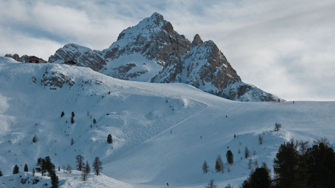 First shred the cheese, then shred the slopes.