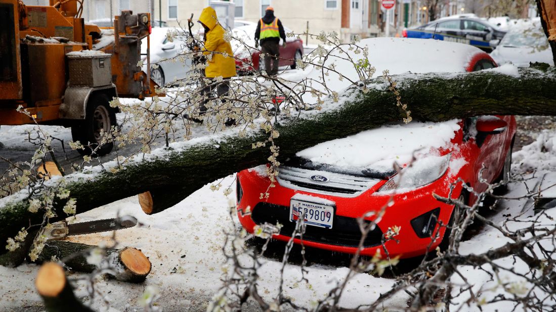 Workers clear debris after a tree branch fell on a parked car in Baltimore on March 14.
