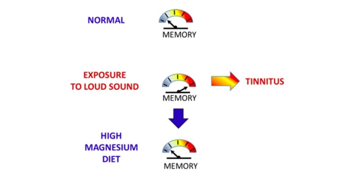 tinnitus magnesium study