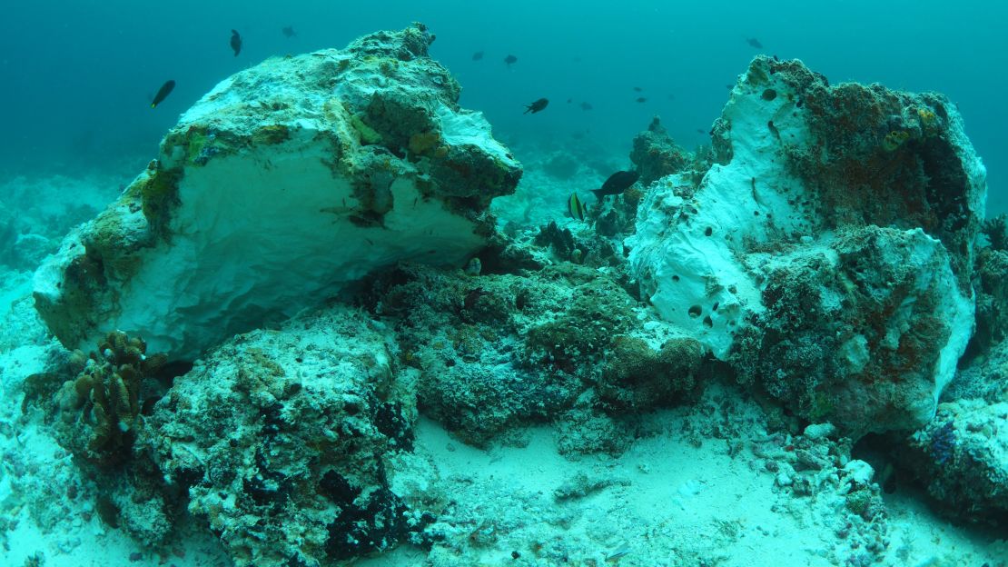 Nearly 140,000 square feet of pristine reef were destroyed, a conservation official said.