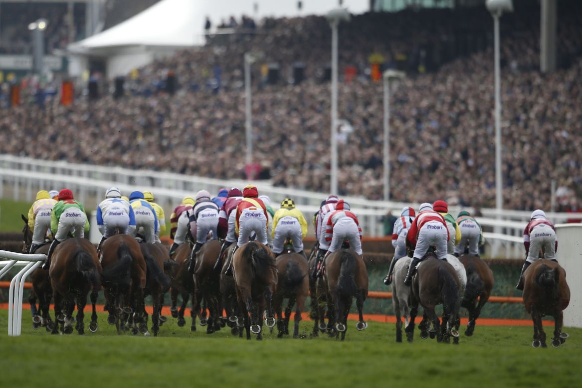 Runners turn into the straight in front of a packed Grand Stand for the Ultima Handicap Chase on the first day. The race was won by Un Temps Pour Tout -- the third horse ever to claim back-to-back victories.