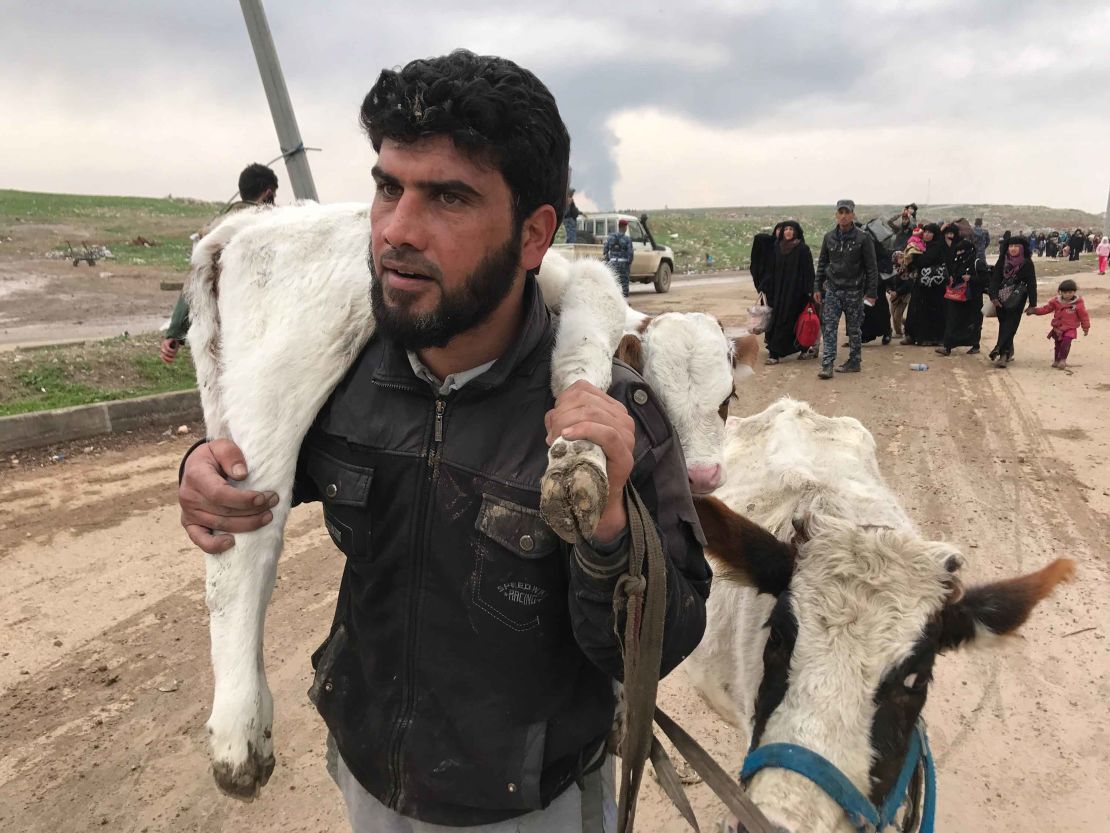 Saleh Jassim, seen above, braved ISIS snipers and mortar fire to get his family and his herd, his only livelihood, out of harms way in western Mosul.