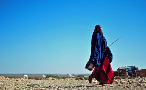  A woman walks through a dry area close to Dhahar in Puntland, northeastern Somalia. Drought in the region has severely affected livestock for local herdsmen. 