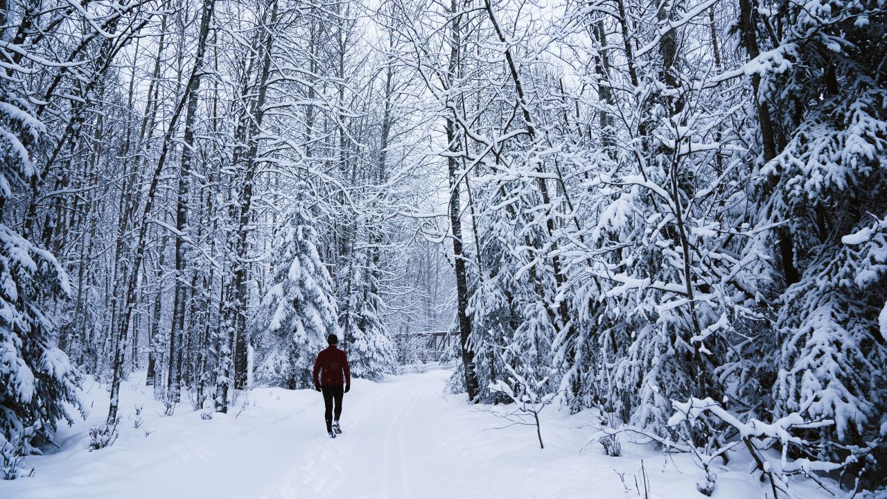 During the day, the view is 50 shades of white as snow covers the lakes, black spruce trees and the trail.