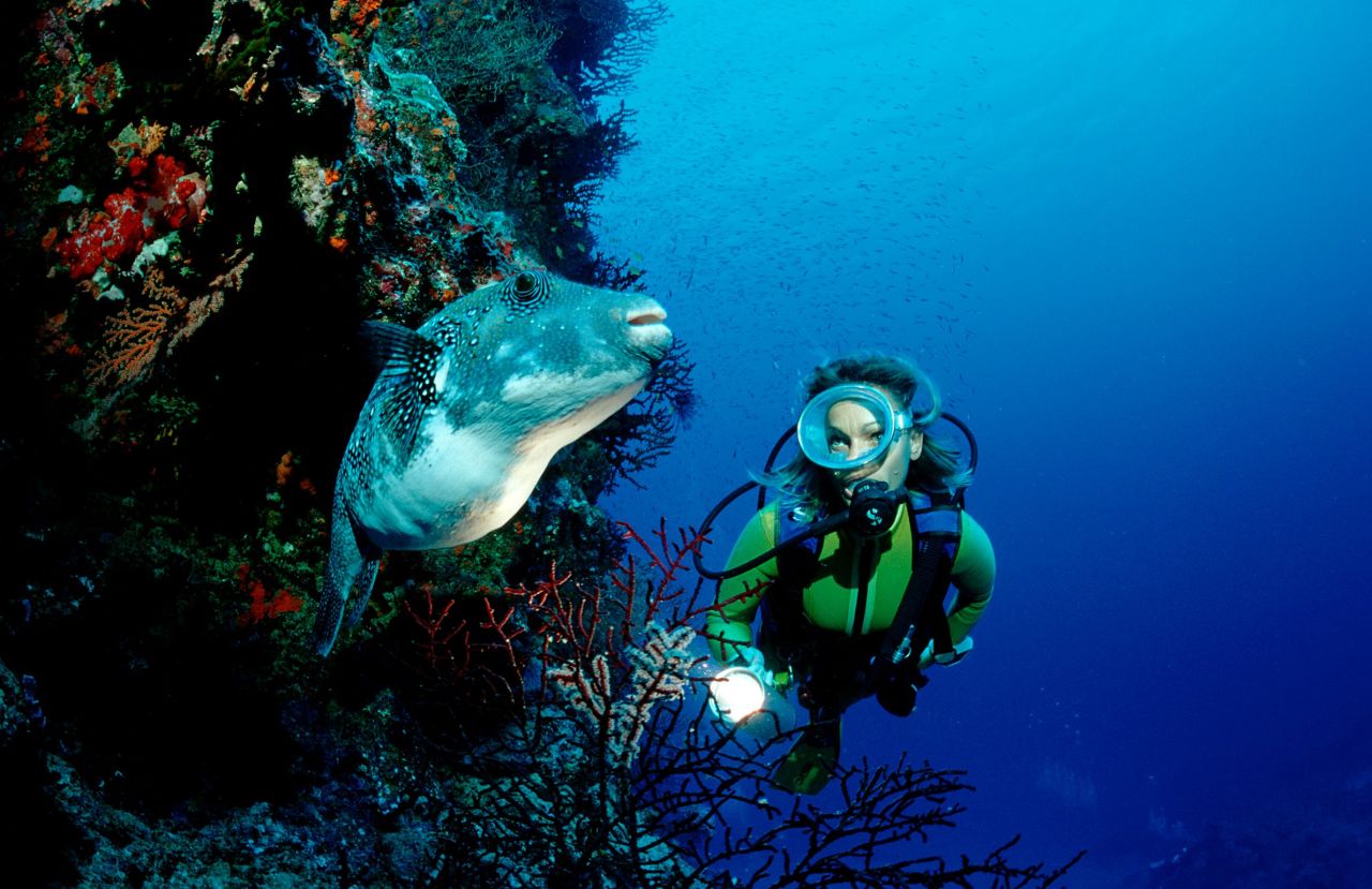 <strong>9. Australia --</strong> This island nation had to share ninth place with Sweden this year. Despite environmental threats to the survival of the Great Barrier Reef, Australia's World Heritage Site remains a significant draw for domestic and international tourists alike. 