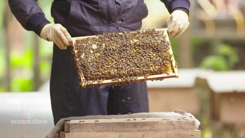 vietnam beekeepers_00033112.jpg