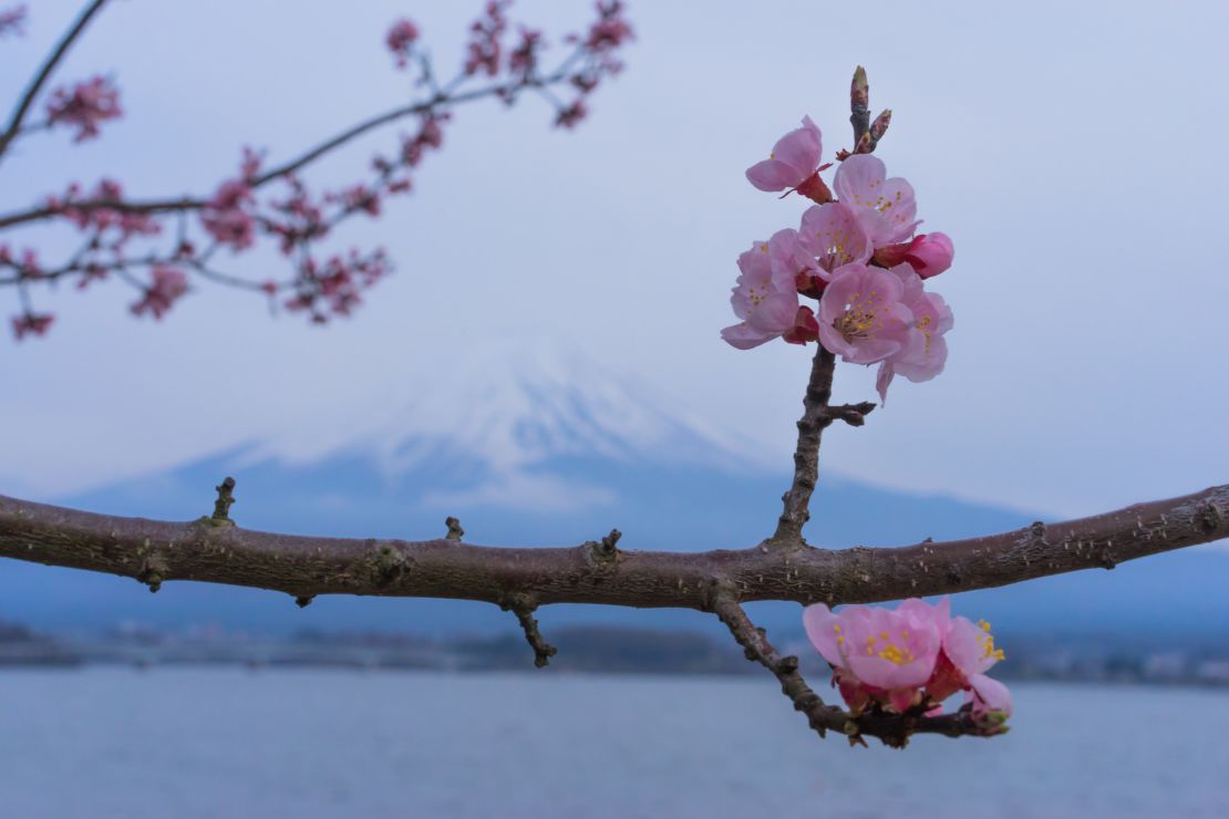 Admire the postcard beauty of Mt Fuji.