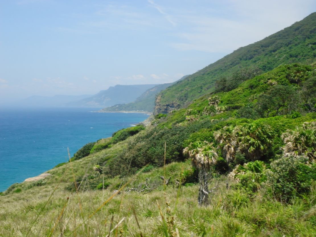 The raw coastline to Sydney's south.