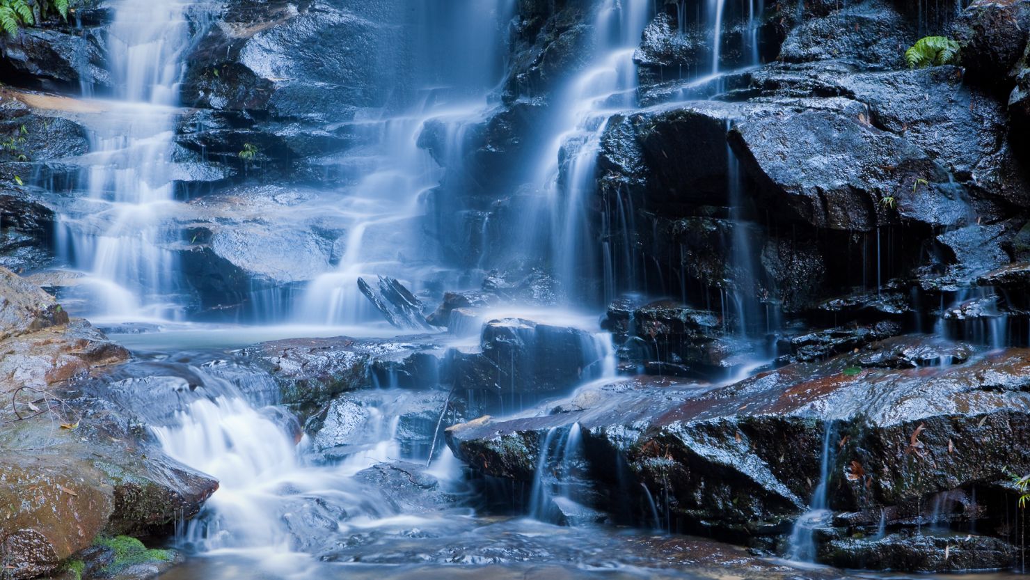 From mountains to waterfalls, see the best of Sydney's natural beauty.