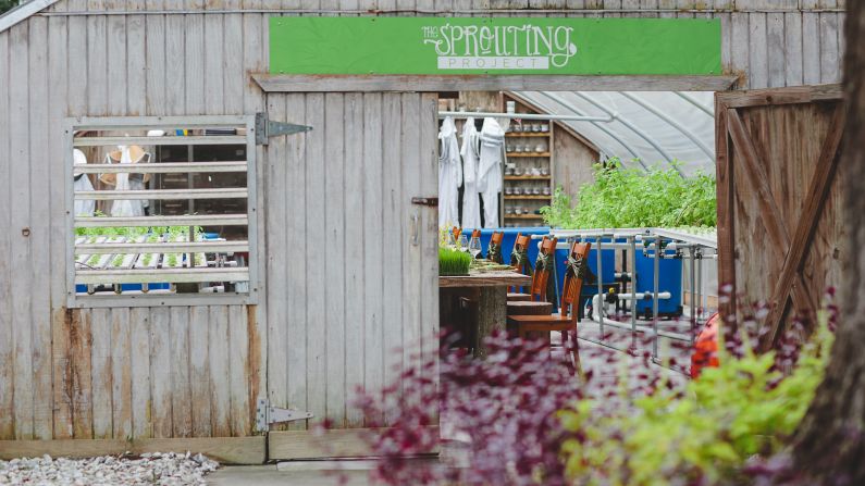 <strong>Omni Amelia Island Plantation Resort, Florida. </strong>After arriving in 2012, executive chef Daven Wardynski launched the Sprouting Project, now home to the resort's aquaponic greenhouse, organic garden, apiary, barrel room and monthly chef's dinners. 