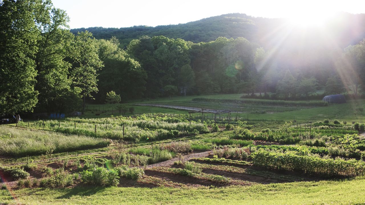 <strong>Blackberry Farm, Tennessee. </strong>Much of the food served at the James Beard Award-winning restaurant at this resort is grown at the farm. Guests can learn about traditional farming from master gardener John Coykendal, take a tasting tour of the farm or watch a cooking demonstration. 