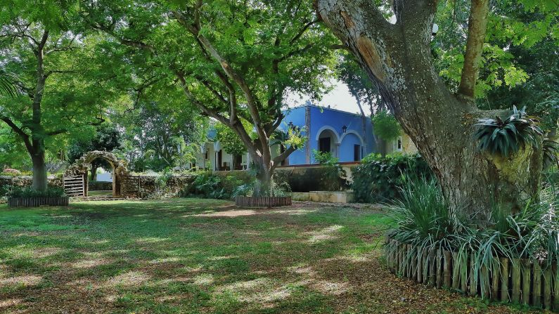 <strong>Chablé Resort and Spa, Yucatan, Mexico. </strong>Much of Chablé's produce and tea comes from its traditional Mayan garden. Food is harvested from the raised garden beds made of local wood.  