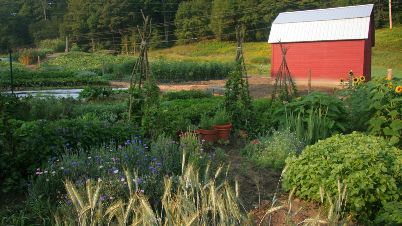 <strong>Woodstock Inn & Resort, Vermont. </strong>Master gardener Benjamin Pauly and executive chef Rhys Lewis work together to cultivate more than 200 varieties of vegetables at the resort's 2.5-acre Kelly Way Gardens. They also have a mushroom glen and newly planted fruit trees. 